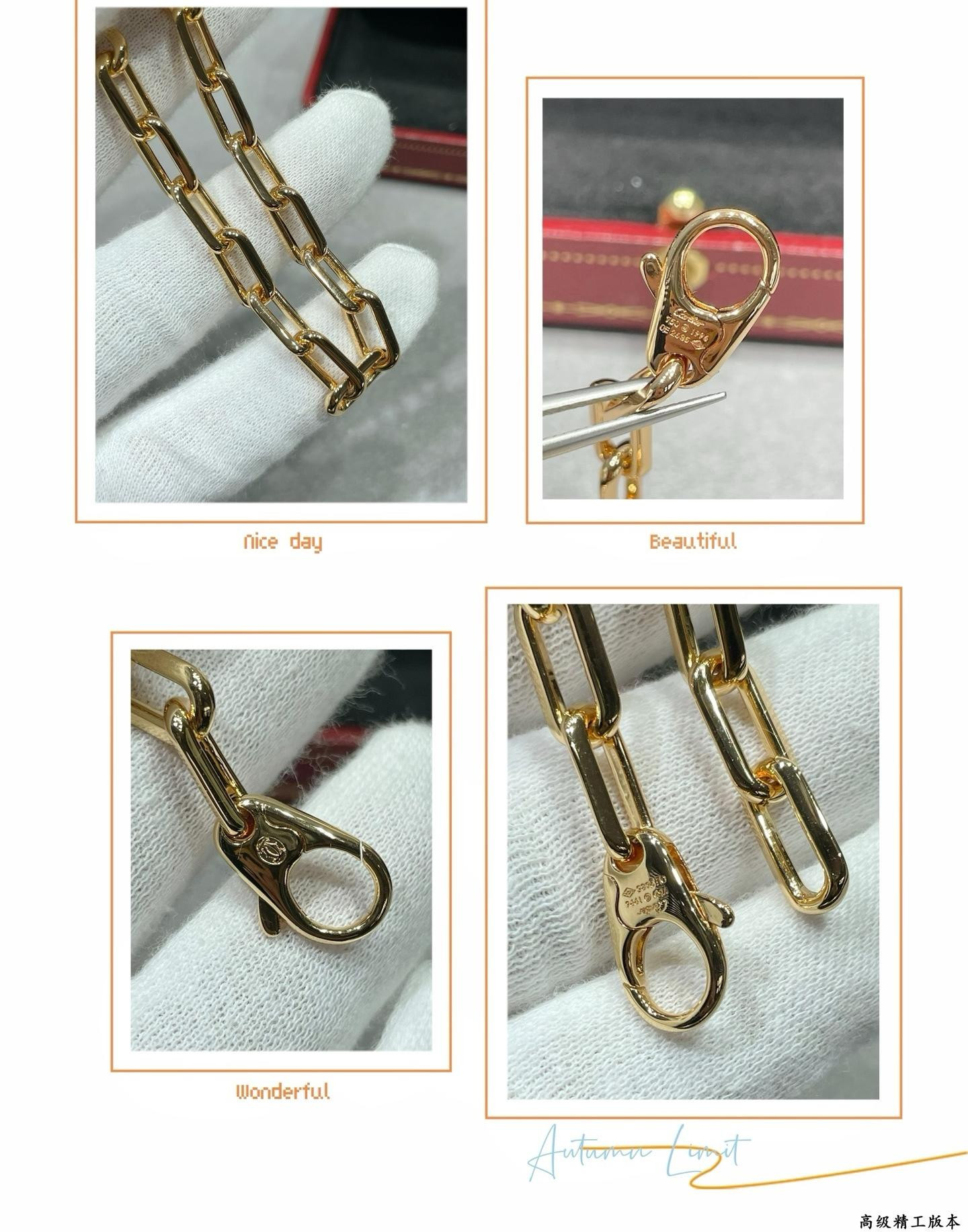 Ca*t*er santos de bracelet(chain length 20cm)