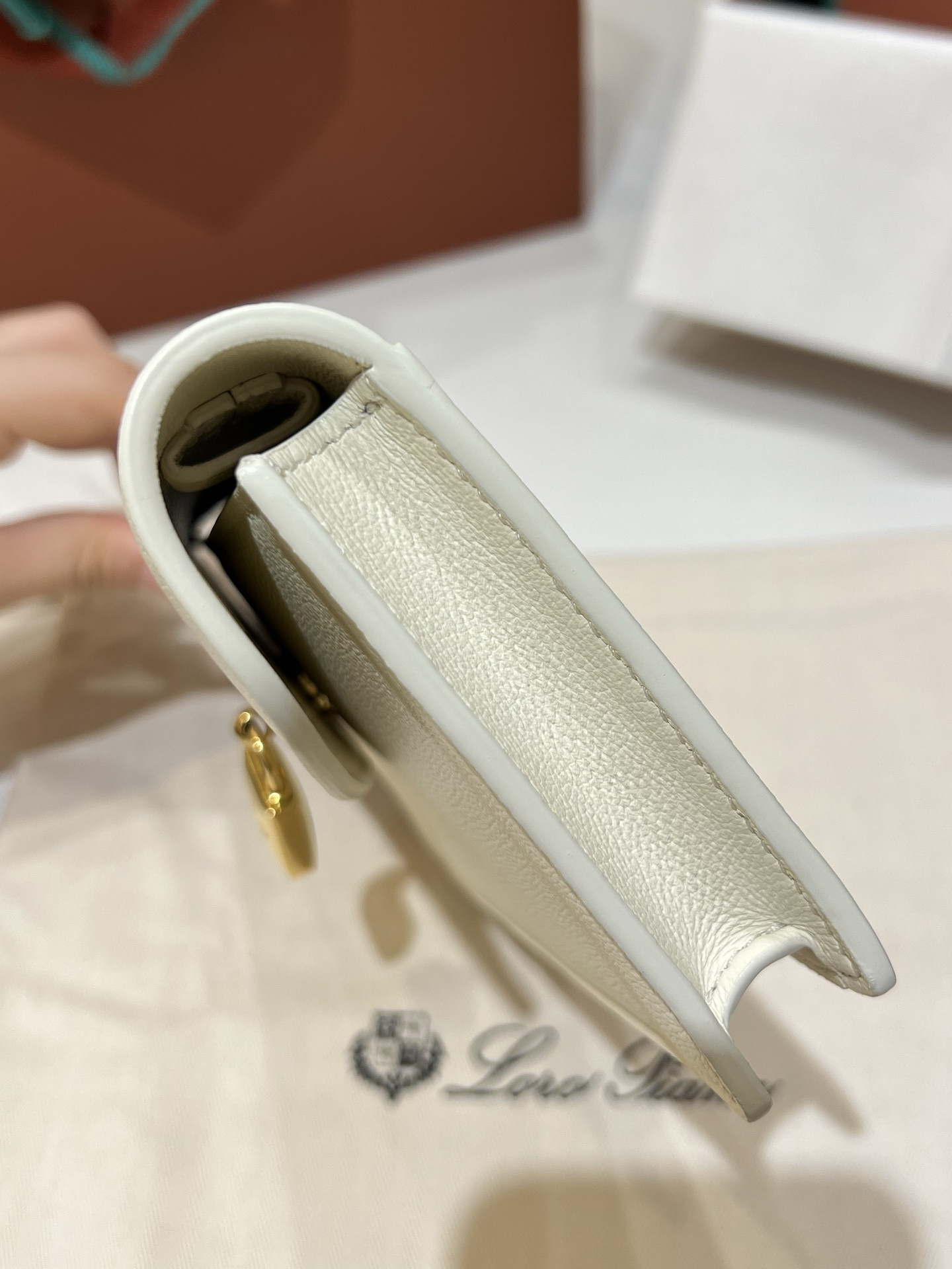 L**o p*ana extra pochette 18 x 10 x 2.5 cm