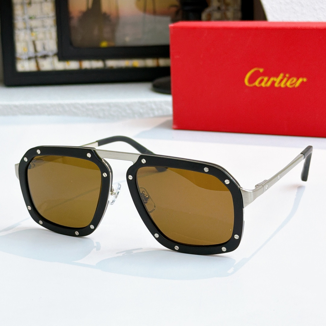Ca*t*er glasses ct0573s 55-20-145