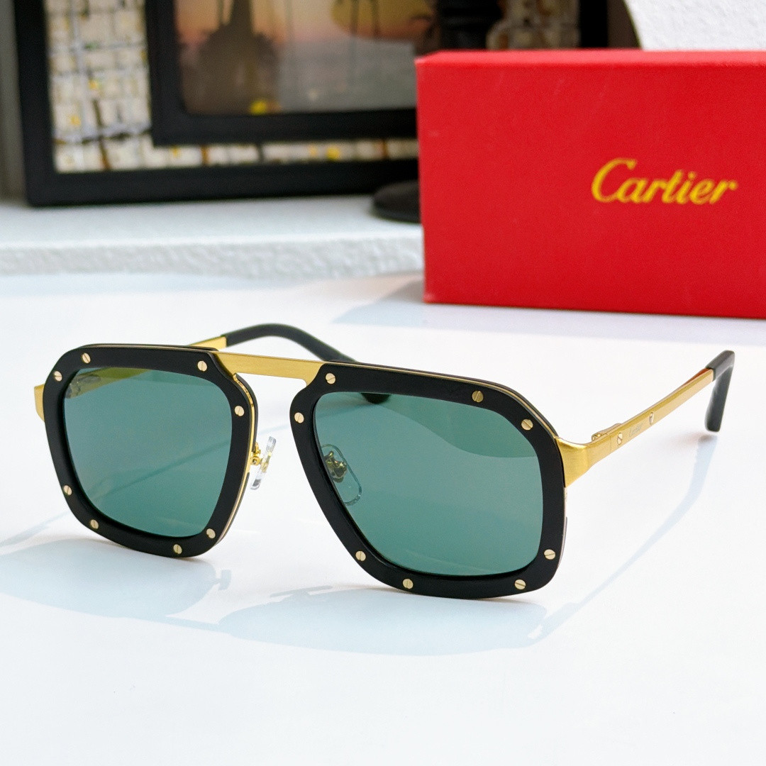 Ca*t*er glasses ct0573s 55-20-145