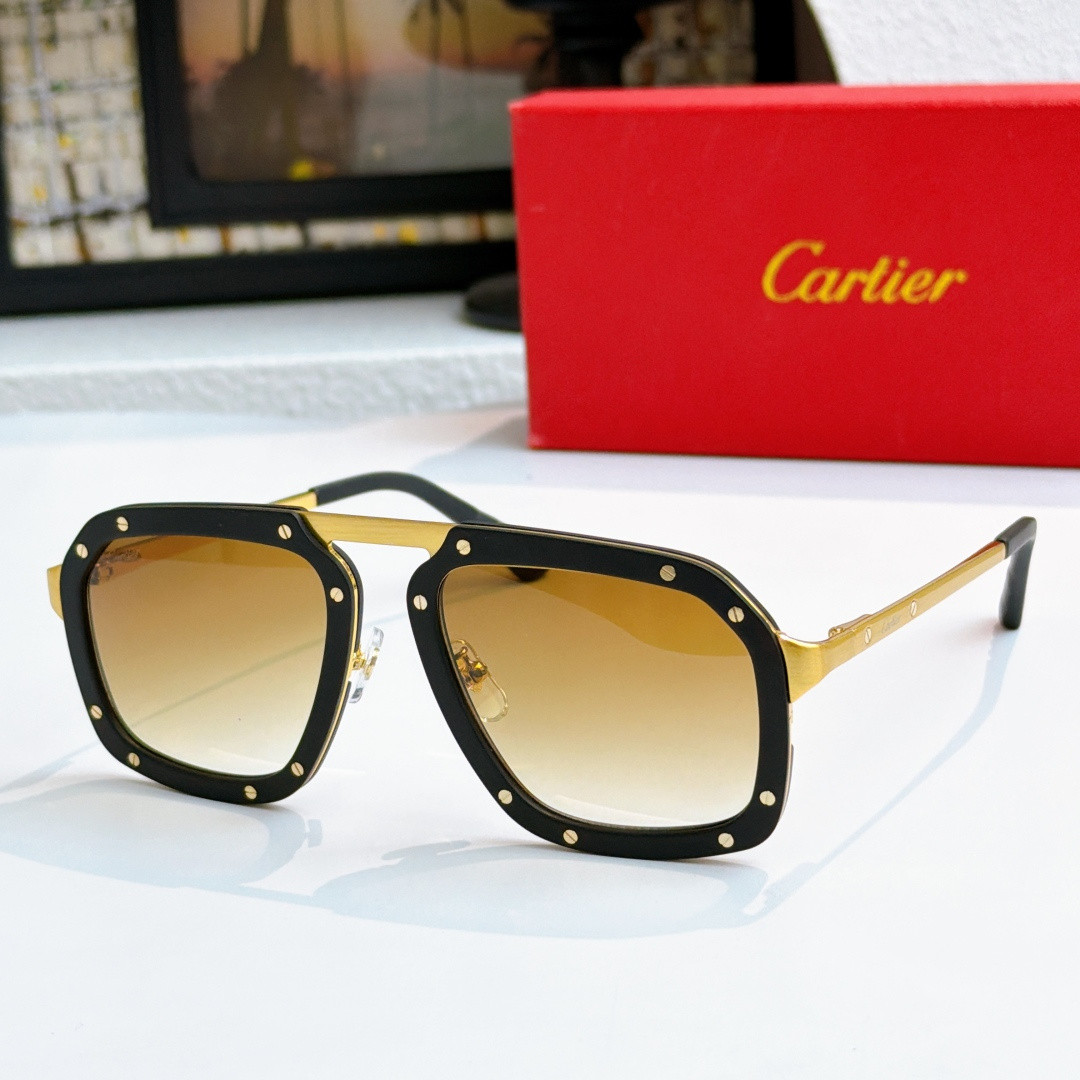 Ca*t*er glasses ct0573s 55-20-145